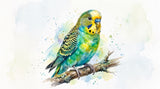 Retrato de pájaro — Acuarela