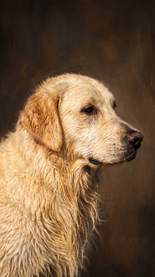 Retrato de mascota — Óleo clásico